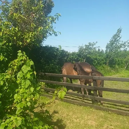 Charming Country Homestead Nyaraló Kilkenny