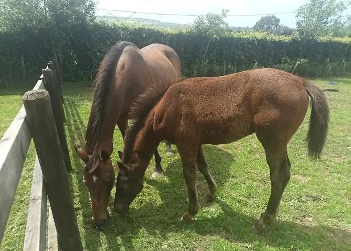 Charming Country Homestead * Kilkenny