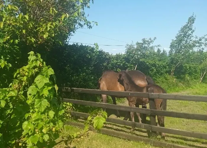 Charming Country Homestead Dom wakacyjny Kilkenny